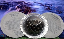 Elizabeth Arden White Glove Extreme SKIN BRIGHTENING OVERNIGHT CAPSULES 120 CAPS