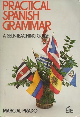 Practical Spanish Grammar (A Self-Teaching Guide)