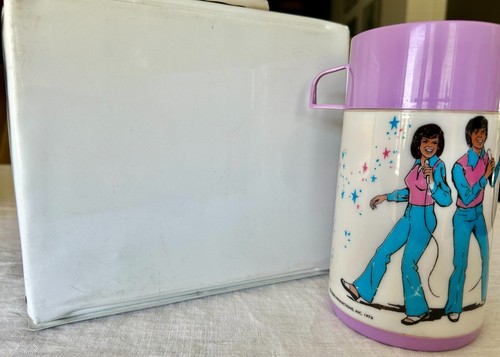 Vintage 1976 Donny & Marie Lunchbox mit Thermoskanne - Aladdin - Langhaar Sammlerstück - Bild 3 von 16