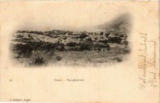 CPA AK ALGERIA Geiser 21 TENES Vue Generale (...