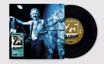 Endtroducing.. by Dj Shadow (Record, 2021) for sale online | eBay