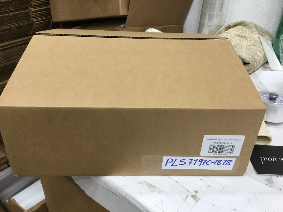 Safavieh ANDRINE PILLOW, Reduced Price 2172766001 PLS7197C-1818 - Image 4 of 4