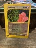 Lickitung 90/147 Reverse Holo Pokemon Aquapolis 2002 Wotc Vintage Holo MP