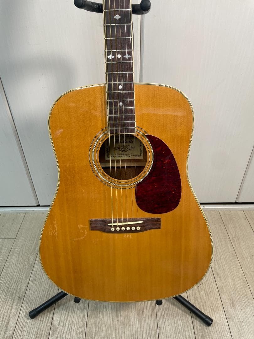 pro martin W-300 プロマーティン Pro Martin Pro Martin W300N Acoustic Guitar USED | eBay