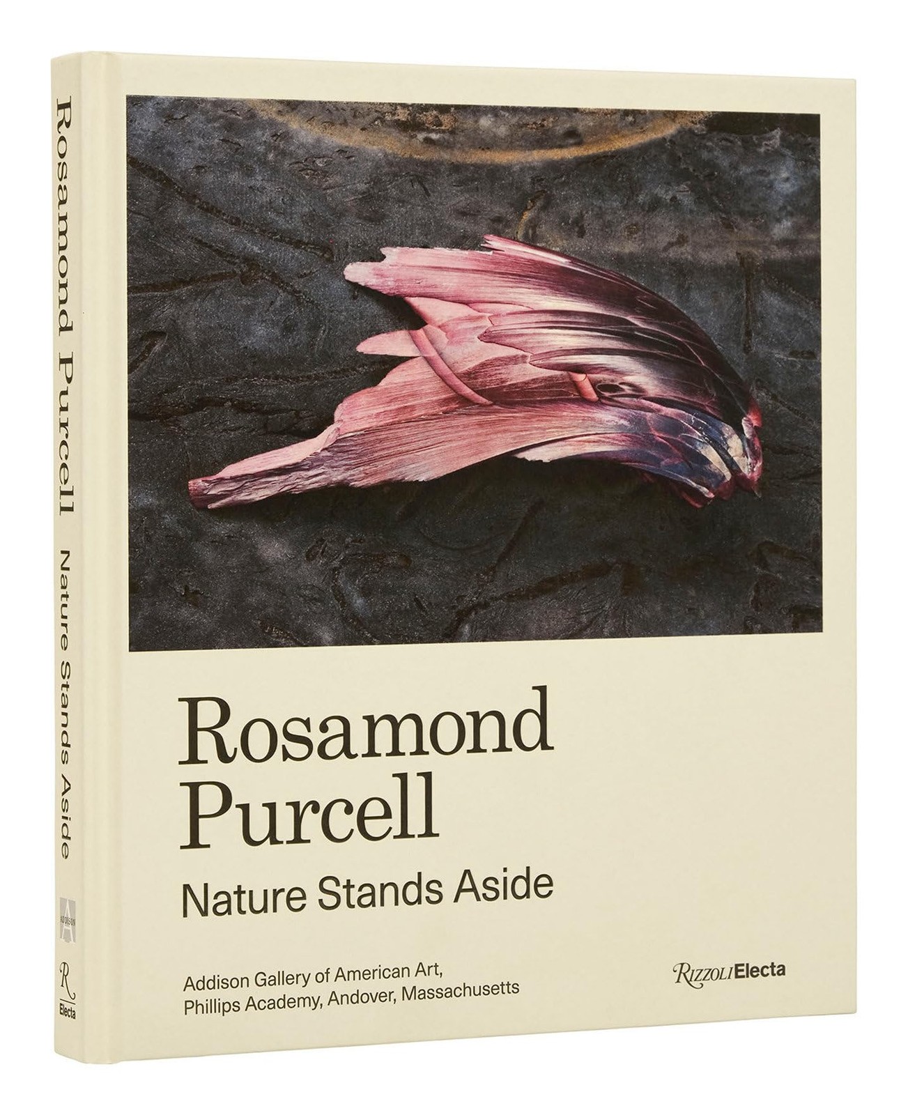 Rosamond Purcell by Gordon Wilkins HARDBACK - Image 4