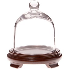 Plymor 5" x 6" Bell Jar Glass Display Dome Cloche Walnut Wood Veneer Footed Base