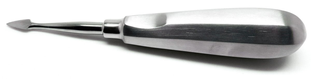 Superior Dental Spear Root Elevator #36 - Stainless Steel Dental Extraction Instrument
