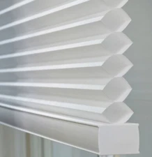 Light Filtering Cordless Cellular Shades