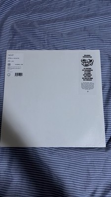 YEAR0001 Bladee & Mechatok Good Luck Picture Disc Vinyl record