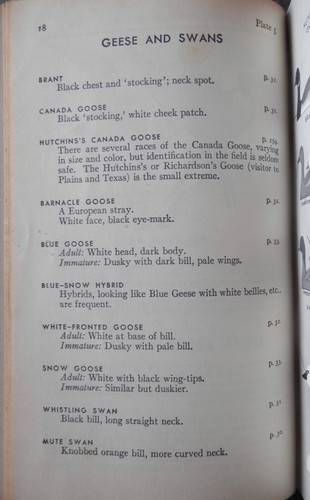 A Field Guide to the Birds by Roger Troy Peterson, 2nd Rev & Enlarged Ed 1947 GC - Imagen 12 de 12
