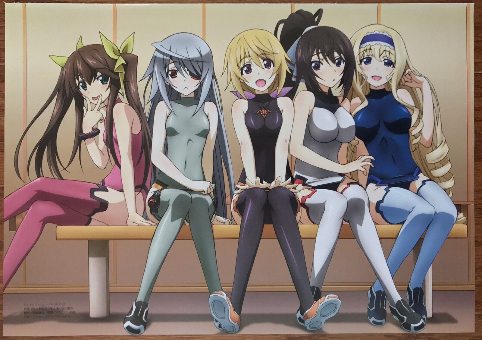 IS: Infinite Stratos (Infinite Stratos) - Pictures 