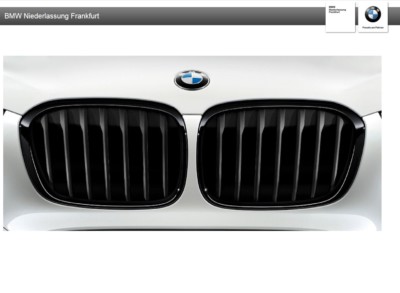 Original BMW M Performance Ziergitter Satz Nieren schwarz für X1 F48  