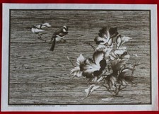 vintage HOBBYTEX 2x ORIENTAL BIRDS PLACE MATS 2727