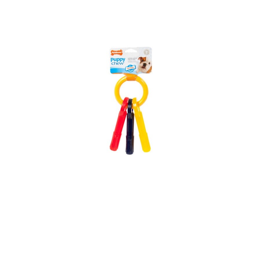 NYLABONE Puppy Teething for Dog Toy Bacon flavor massage gum
