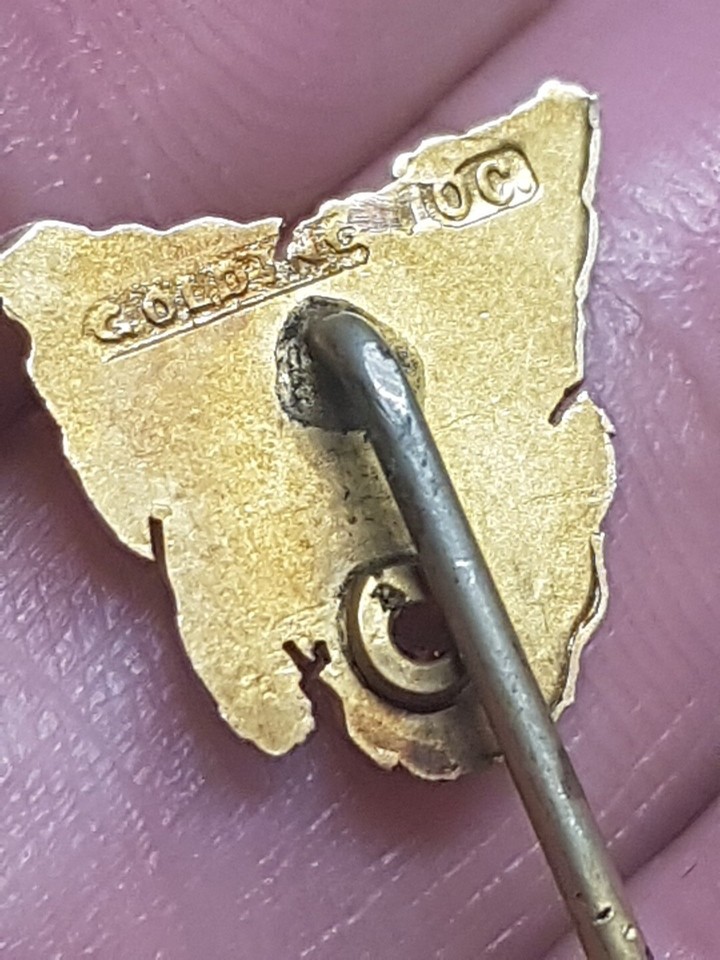 Antique 417 10K 10ct Gold & Ruby Map Of Tasmania Stick Stock Lapel Pin