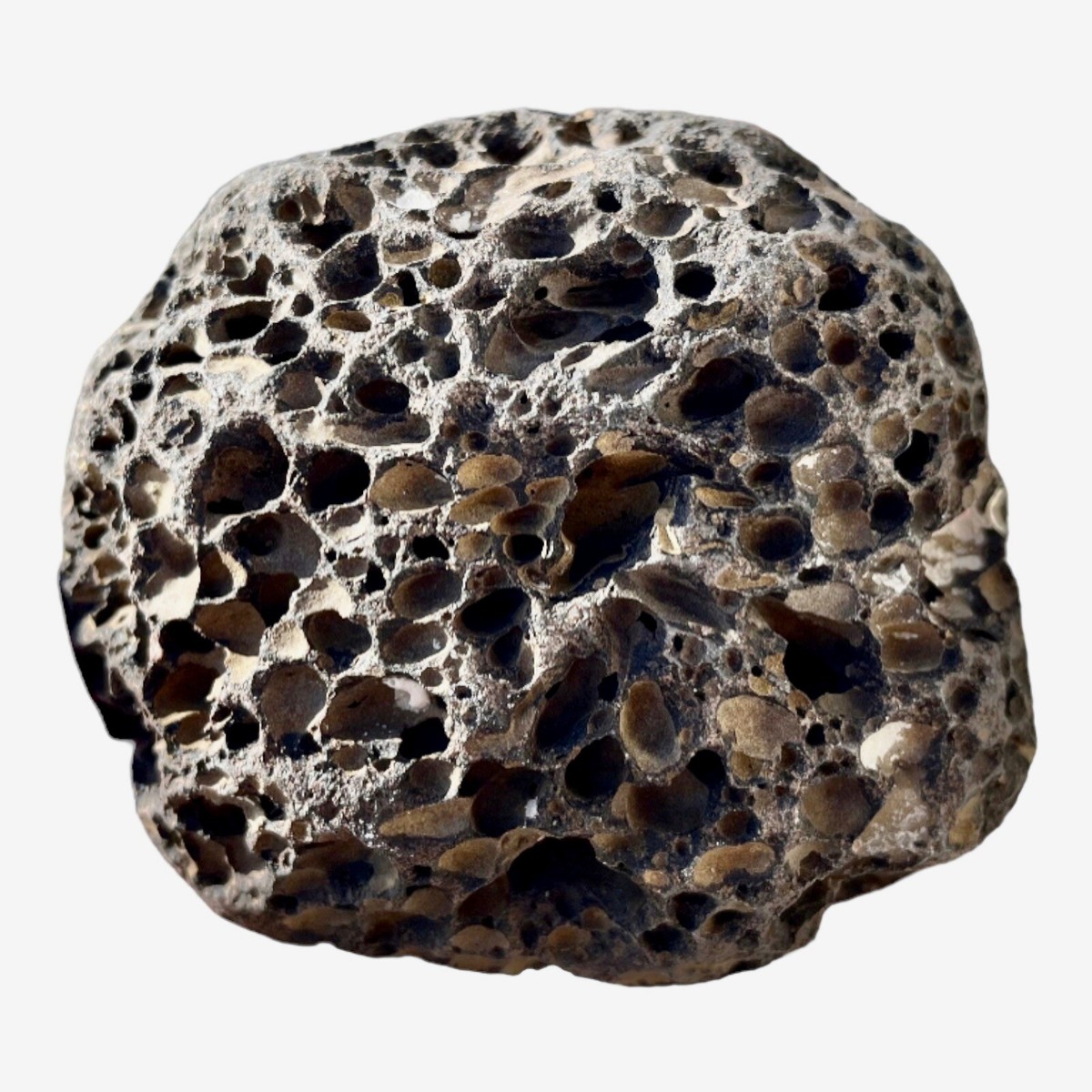 volcanic lava rock | eBay