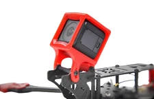 Wild Willy Dolphin1 Session Mount