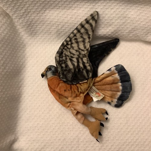 Folkmanis Puppets Puppet American Kestrel Hand Puppet Realistic Detailed EUC - Bild 3 von 4