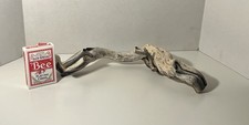 Manzanita Driftwood, Reptile Tank Decor, Aquascape, Terrarium, Aquarium Wood