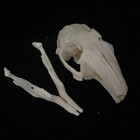Bild 33 von 73