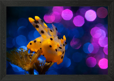 Pikachu-Nacktschnecke Bubble Bokeh gerahmtes Wandbild Poster Leinwanddruck Bild