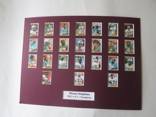 The Miami Dolphins coached by Don Shula are the 1982 AFC Champions