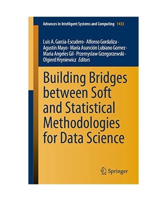 Building Bridges between Soft and Statistical Methodologies for Data Science