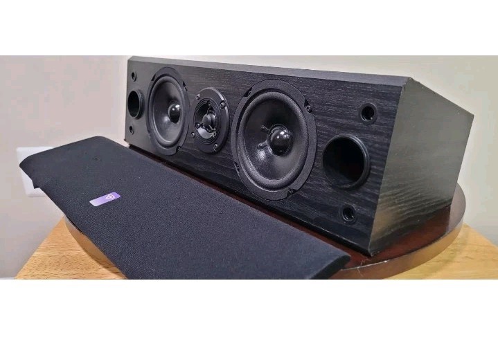 Cerwin Vega CC-250 Center Channel Tested, Works