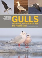 Gulls Of Europe, North Africa, And The Middle East Peter Adriaens