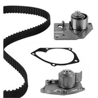 Metelli Wasserpumpe + Zahnriemensatz FüR Renault Megane II BM0/1_ CM0/1_