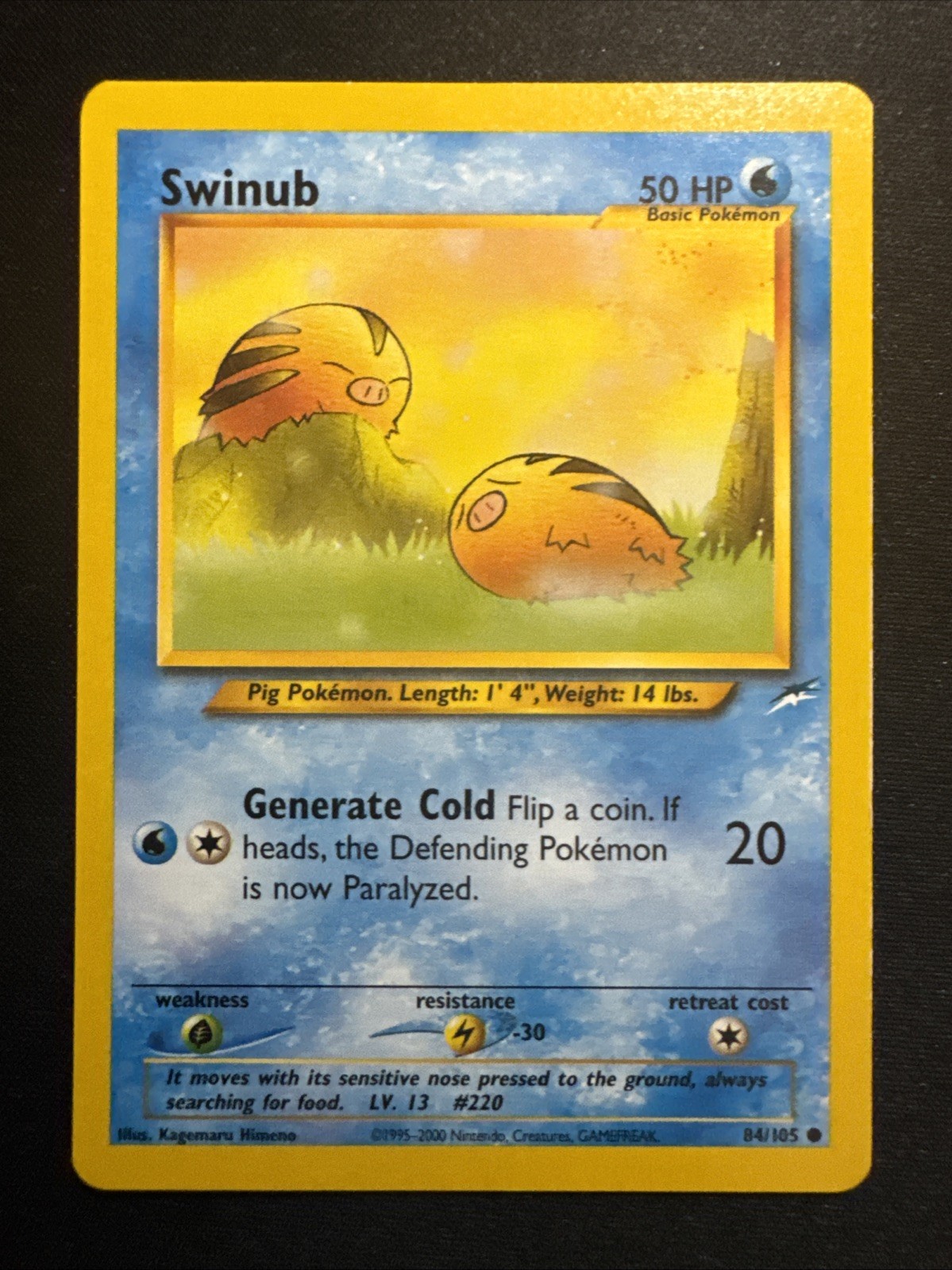 Swinub 84/105 Neo Destiny Regular
