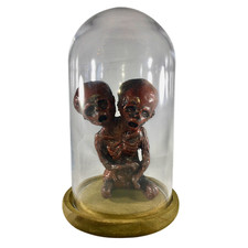Deluxe Siamese Twin Fetus Double Head Mummied Fetal Gaff Latex Specimen Bell Jar