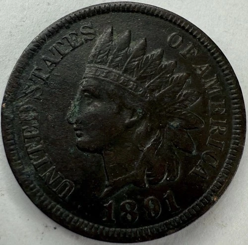 1891 Indian Head Cent Exact Coin Imaged #IND1165