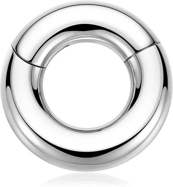 Heavy Surgical Steel 316L 0g Segment Clicker Seamless Hinged Ring Prince Albert
