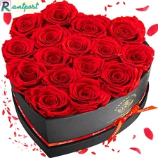 Impouo 16 Preserved Flower Delivery Prime, Fresh Forever Roses in a Box, Birthda