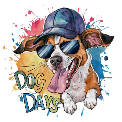 Wall Decal Sticker Funny Animal Quote Wall Sticker 18X18cm Large