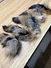 Tanned Grey Fox  Tail   ( 1 ) Tail Only  12 To 13 "