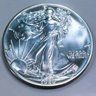 1989 1 oz American Silver Eagle .999 Silver Beautiful Uncirculated Coin