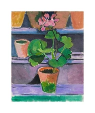 Henri Matisse : Pot of Geraniums : 1912 : Archival Art Print