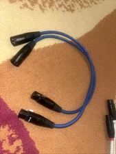 Wireworld Oasis 8 Balanced  XLR 0.5m INTERCONNECT CABLE Pair