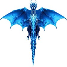 Large Dragon Kite for Kids and Adults, Easy to Fly with 300ft String, Perfect fo