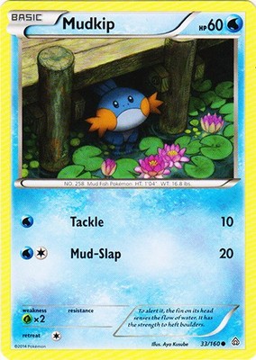 Mudkip - 33/160 - Common - Lightly Played