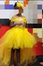 Flower girl dress, wedding dress, birthday, special occasion, evening custom