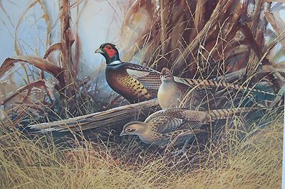Gregory F. Messier ''Ringed-Necked Pheasants'' Limited Edition Lithograph Signed