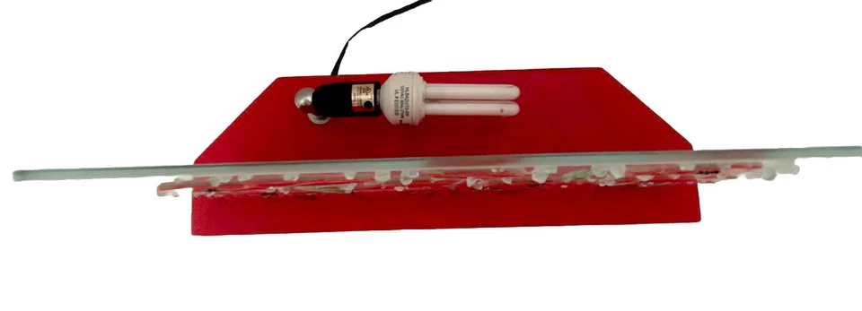 Lamp - Backlighting Red Poppies - Image 3 of 3