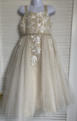 Chantilly Place Embroidered Mesh Glitter Gown, 6X, Beige, Flower Girl | eBay
