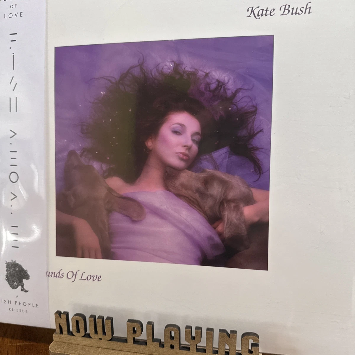 Kate Bush ⁄ BUSH Vinyl KATE eBay - Records – LP Yahoo!オークション