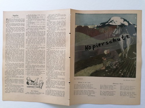 JUGEND Hirth 1909 Einzelverkauf Doppelseiten - Abbildungen und viele weitere - Picture 94 of 113