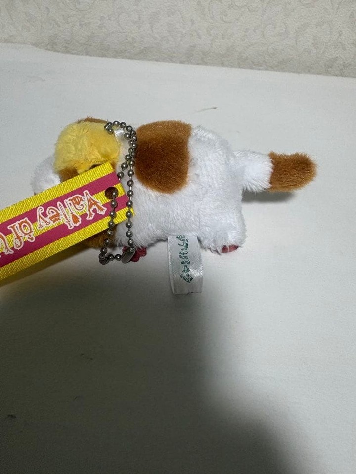 Ghibli Park Exclusive Howl's Moving Castle Hinn Plush Keychain | eBay UK