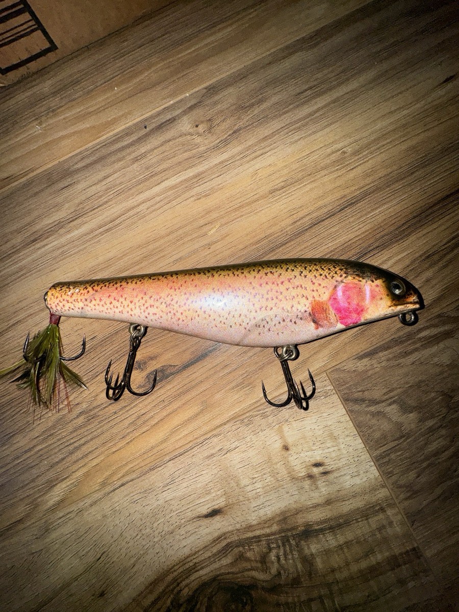 Leurre Ancien Lunker Punker 8 Pouces – Swimbait – Fabriqué Aux USA